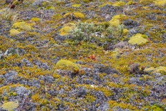 Beagle Channel and islands off Ushuaia