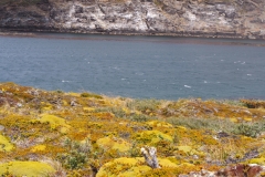 Beagle Channel and islands off Ushuaia