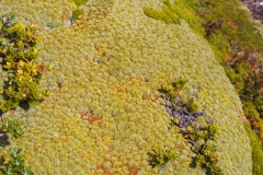 Beagle Channel and islands off Ushuaia