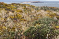 Beagle Channel and islands off Ushuaia