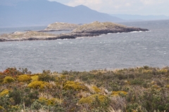 Beagle Channel and islands off Ushuaia