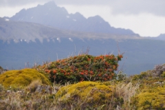 Beagle Channel and islands off Ushuaia