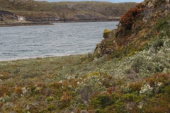 Beagle Channel and islands off Ushuaia