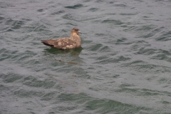 Beagle Channel and islands off Ushuaia