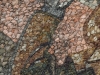 Bestrove Mosaic