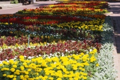 Bishkek Revolutionaries - Kyrgyzstan