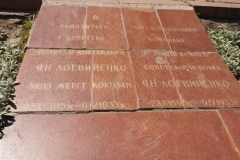 Bishkek Revolutionaries - Kyrgyzstan