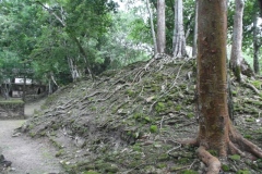 Cahal Pech - Belize