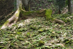 Cahal Pech - Belize