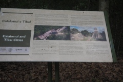 Calakmul - Campeche