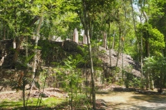 Calakmul - Campeche