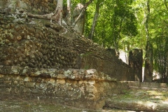 Calakmul - Campeche
