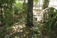 Calakmul - Campeche