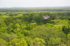 Calakmul - Campeche