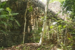 Calakmul - Campeche