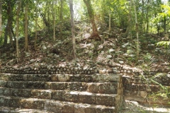 Calakmul - Campeche