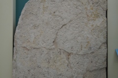 Cancun Mayan Museum