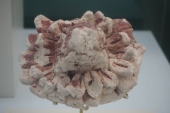 Cancun Mayan Museum
