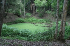 Caracol - Belize