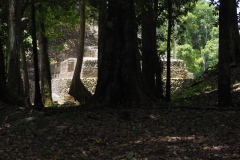 Caracol - Belize