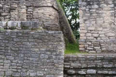 Caracol - Belize