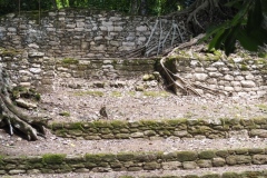 Caracol - Belize
