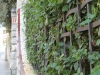 Wrought iron fence - Casa Barbey, La Garriga
