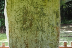 Ceibal - Guatemala