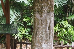 Ceibal - Guatemala