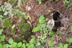 Chalchitan-Pueblo Viejo - Aguacatan