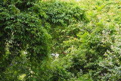 Chalchitan-Pueblo Viejo - Aguacatan