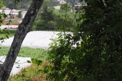 Chalchitan-Pueblo Viejo - Aguacatan