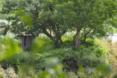 Chalchitan-Pueblo Viejo - Aguacatan