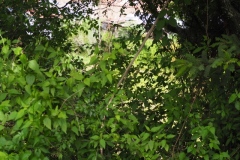 Chalchitan-Pueblo Viejo - Aguacatan