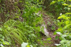 Chalchitan-Pueblo Viejo - Aguacatan