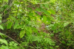 Chalchitan-Pueblo Viejo - Aguacatan