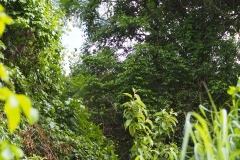 Chalchitan-Pueblo Viejo - Aguacatan