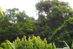 Chalchitan-Pueblo Viejo - Aguacatan