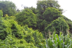 Chalchitan-Pueblo Viejo - Aguacatan