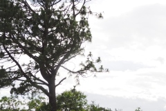 Chalchitan-Pueblo Viejo - Aguacatan