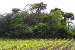 Chalchitan-Pueblo Viejo - Aguacatan