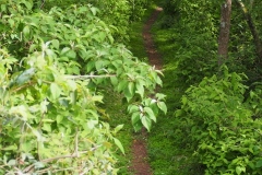 Chalchitan-Pueblo Viejo - Aguacatan