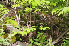 Chalchitan-Pueblo Viejo - Aguacatan