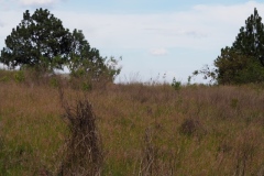 Chalchitan-Pueblo Viejo - Aguacatan