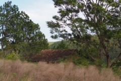 Chalchitan-Pueblo Viejo - Aguacatan