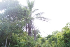 Chalchitan-Pueblo Viejo - Aguacatan