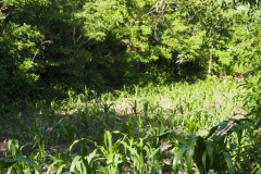 Chalchitan-Pueblo Viejo - Aguacatan