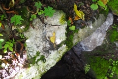 Chalchitan-Pueblo Viejo - Aguacatan