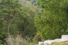 Chiantla Viejo - Guatemala