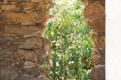 Chichen Itza - Yucatan